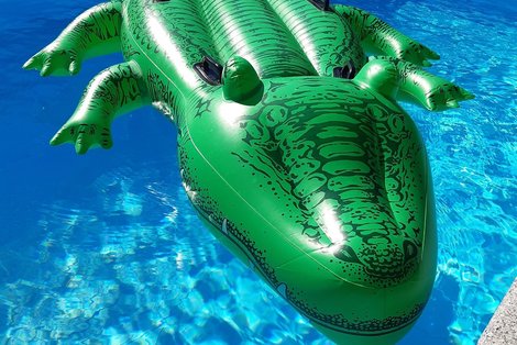 Schwimmtier im Wasser