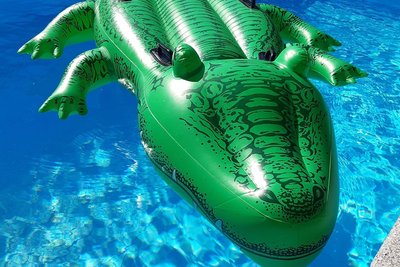 Schwimmtier im Wasser