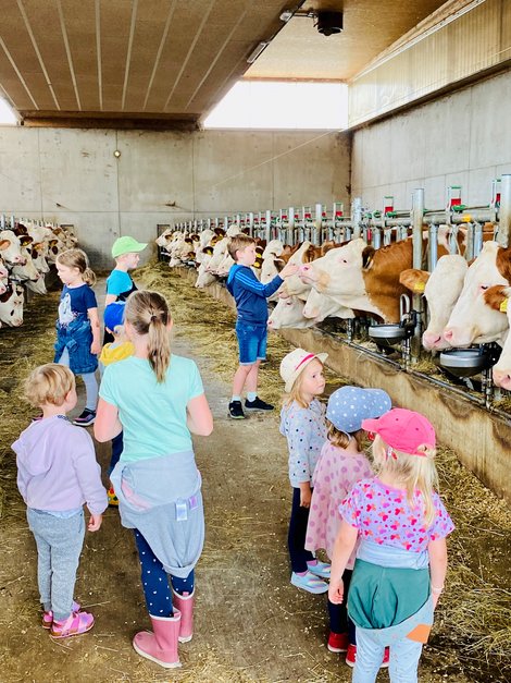 Kinder im Kuhstall