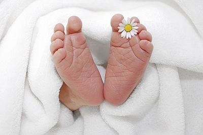 Füße eines Babys mit Gänseblümchen zwischen den Zehen