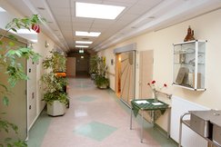 Gang mit grün/Beigem Fußboden, kleinem Tisch mit grünem Tischtuch und roten Blumen in einer Vase,  viele grüne Pflanzen, Zimmerpflanzen, Schiebetüre holzfarben.