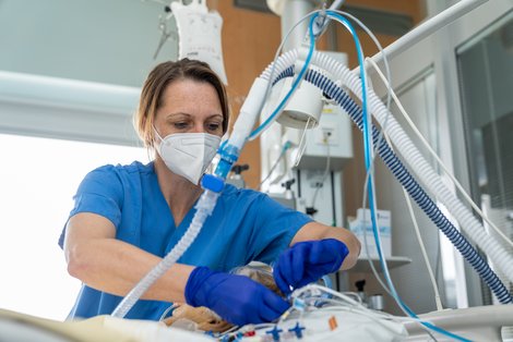 Beatmungsschläuche für eine Anästhesie werden angeschlossen 