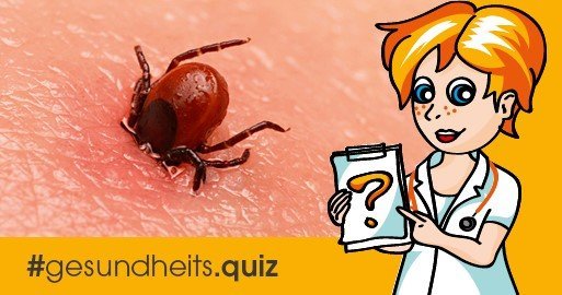 Gesundheitsquiz Zecken