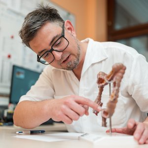 Prim. Piringer mit Darmmodell