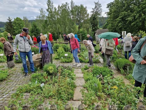 Ehrenamtliche im Kräutergarten