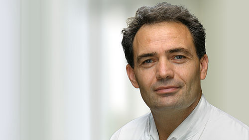 Portraitbild Zahiti Sabit