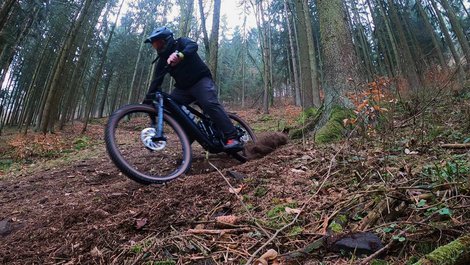 David Asanger beim Mountainbiken im Wald