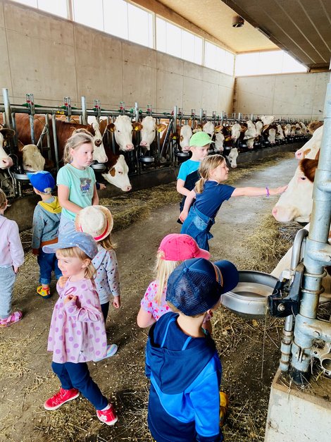 Kinder im Kuhstall