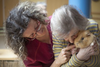 Heimbewohnerin kuschelt mit Meerschweinchen