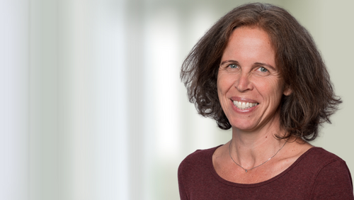 Portraitfoto Birgit Aspoeck