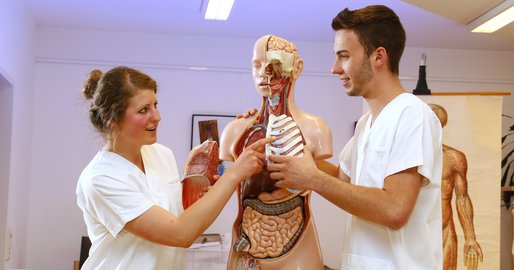 2 Personen am Körpermodell