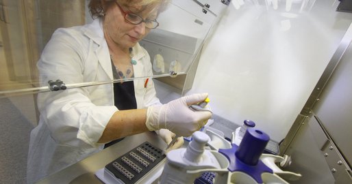 Mitarbeiterin untersucht im Labor