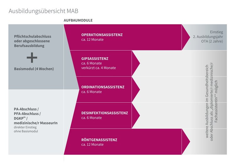 grafische Übersicht Ausbildungswege in medizinischen Assistenzberufen wie oben in den Varianten beschrieben.