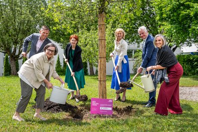 Mehrere Personen pflanzen gemeinsam Baum