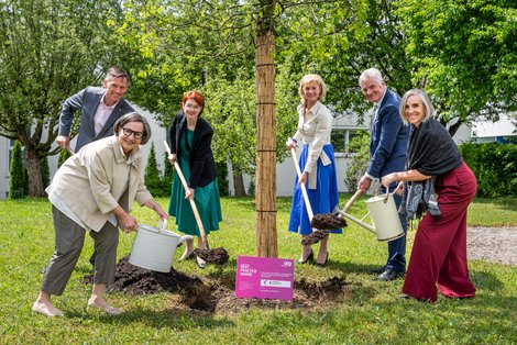 Mehrere Personen pflanzen gemeinsam Baum