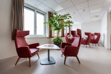Heller Raum mit gemütlichen Lounge-Sesseln und kleinen Tischen, im Hintergrund eine große Zimmerpflanze