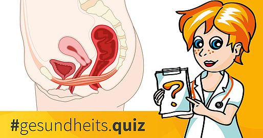 Gesundheitsquiz Beckenboden