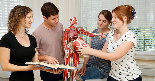 3 Studentinnen und 1 Student mit einem Körpermodell