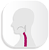 Symbol Speiseroehre